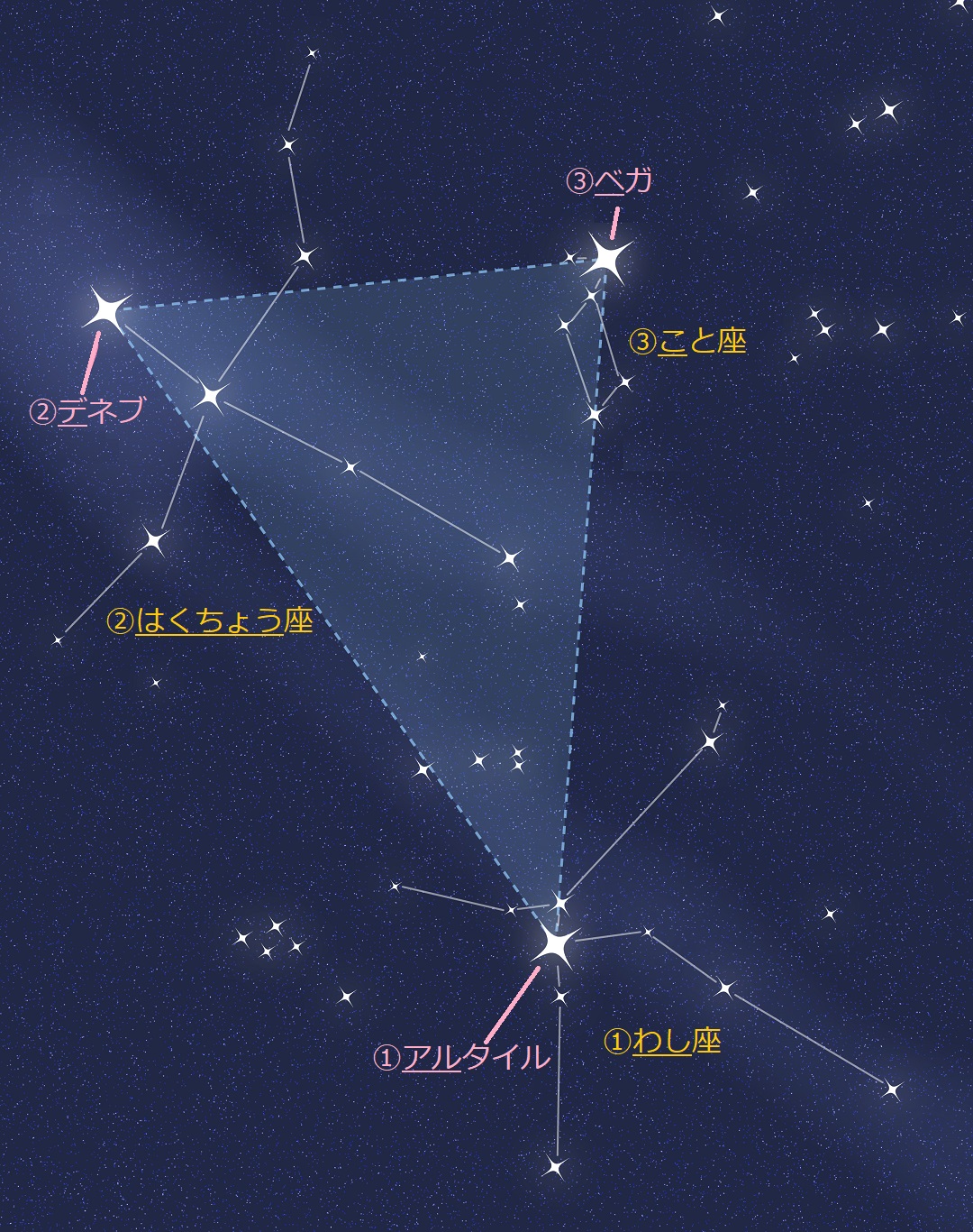 春 夏 冬の大三角 星座と星の名前の覚え方 横浜の学習塾 国大ｑゼミ