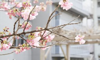 弥生台校の様子